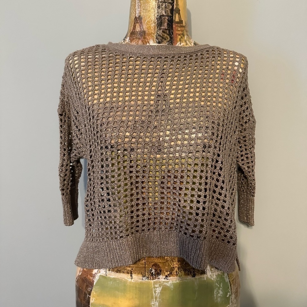 Express open knit metallic cropped sweater XS